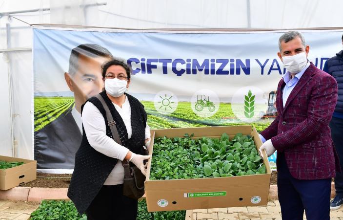 “Çiftçilerimize 100 Bin Adet Sebze Fidesi Dağıtıyoruz”