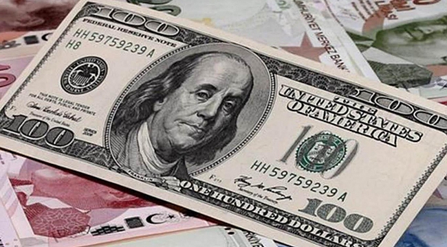 Dolar/TL 20 ayın en yüksek seviyelerinde seyrediyor