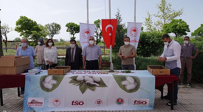 Elazığ'da ipekböceği yumurtası dağıtım töreni gerçekleşti 