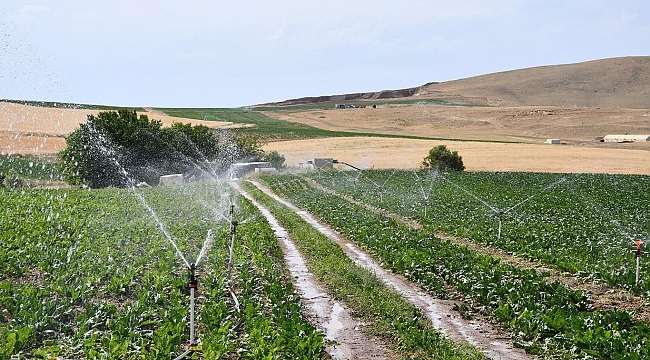 Elazığ'da 114 bin 980 dekar tarım arazisi sulanmaya başlandı 