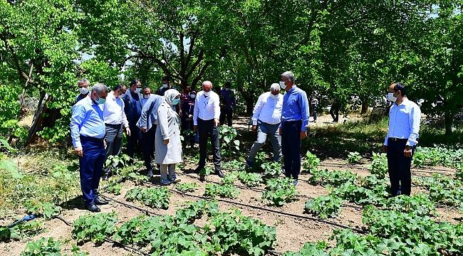 YEŞİLYURT BELEDİYESİ ÜCRETSİZ FİDE DAĞITTI, TARIM ALANLARI HAREKETLENDİ