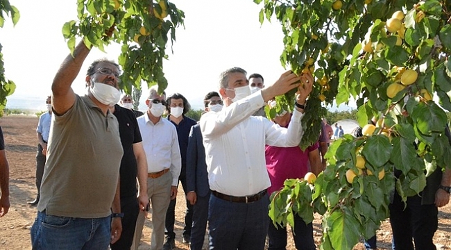 Malatyalı çiftçiye “Kayısı Boylama Makinesi” hibe edildi