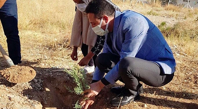 Malatya İl Milli Eğitim Müdürü Kanbay, öğretmen ve öğrenciler ile birlikte fidan dikti