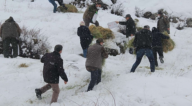 Malatya'da yaban hayvanları için doğaya yiyecek bırakıldı 