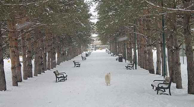 Meteorolojiden kuvvetli kar yağışı uyarısı 