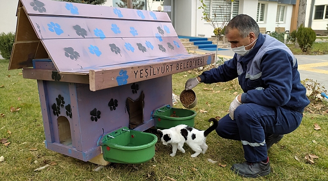 Yeşilyurt Belediyesi, Sokak Hayvanları İçin ‘Kedi Ve Köpek Evleri’ Projesini Başlattı