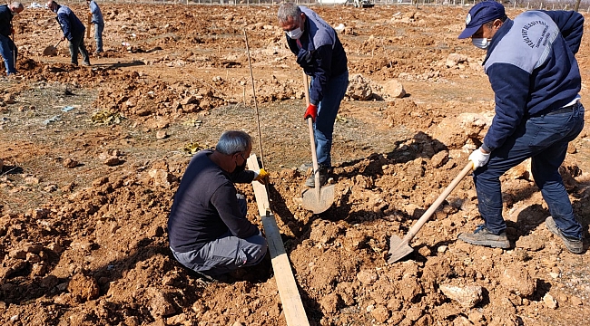 YEŞİLYURT BELEDİYESİ, GÜNDÜZBEY VE FATİH MAHALLELERİNE ‘KİRAZ VE VİŞNE BAHÇESİ’ KURUYOR