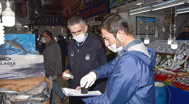 Büyükşehir Zabıtası Balıkçı Esnaflarını Denetledi