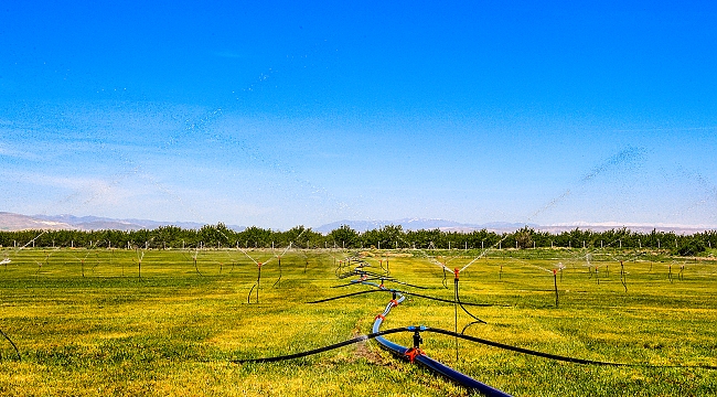 FİDAN ÜRETİM MERKEZİ KURULDU