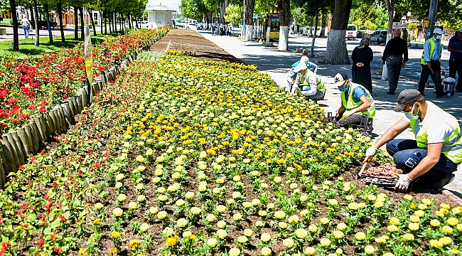 Parklar Yazlık Çiçeklerle Süsleniyor