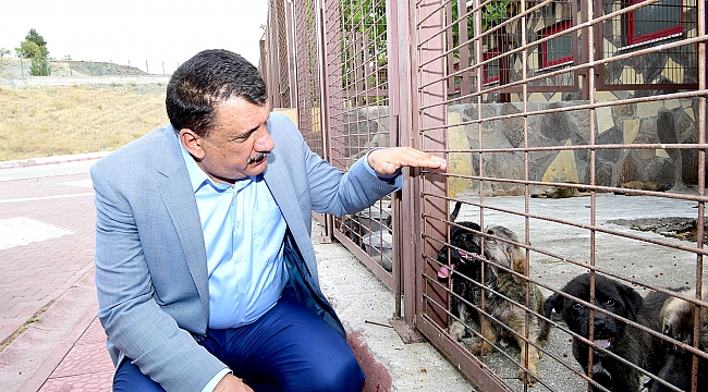 Yeniköy Geçici Hayvan Barınağını Ziyaret