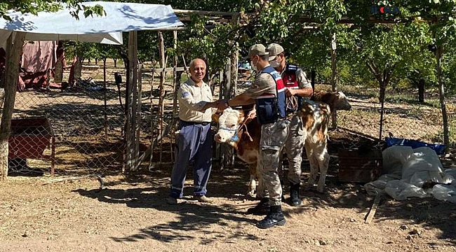 Malatya’da kaybolan hayvanlar drone ile arandı 