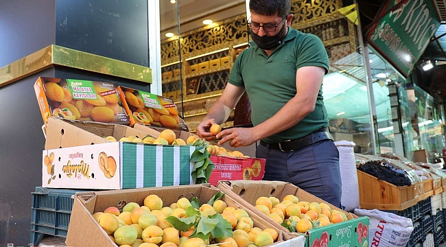 Malatya kayısısının ilk mahsulü tezgâhlardaki yerini aldı 